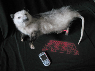 Illustration for article titled Text-O-Possum